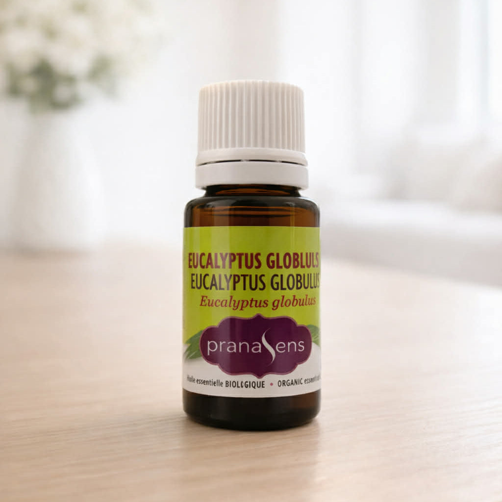 Eucalyptus Globulus Organic Essential Oil