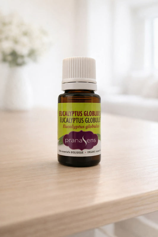 Eucalyptus Globulus Huile Essentielle biologique