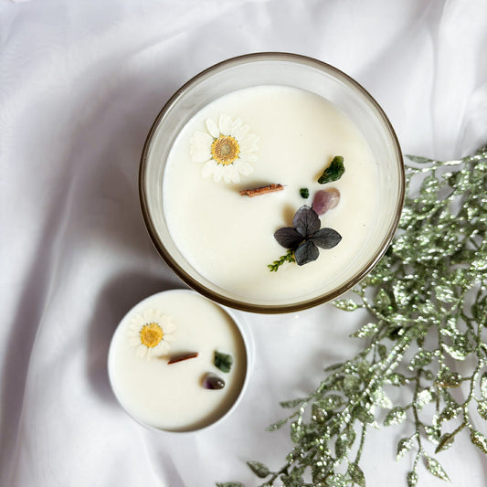 Bougie Mûre enchantée - COLLECTION NOËL 2025