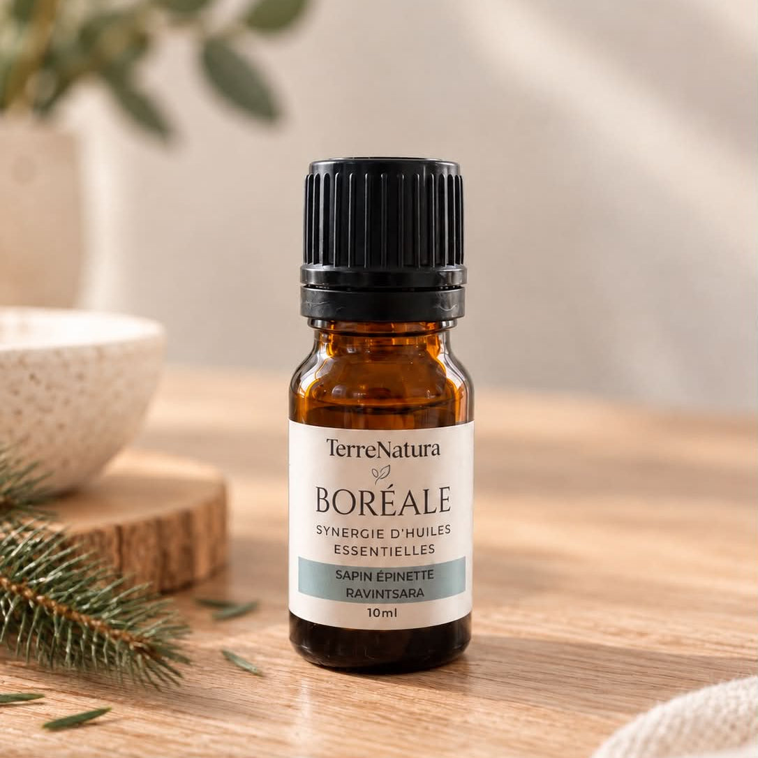 Synergie d'huiles essentielles - Boréale