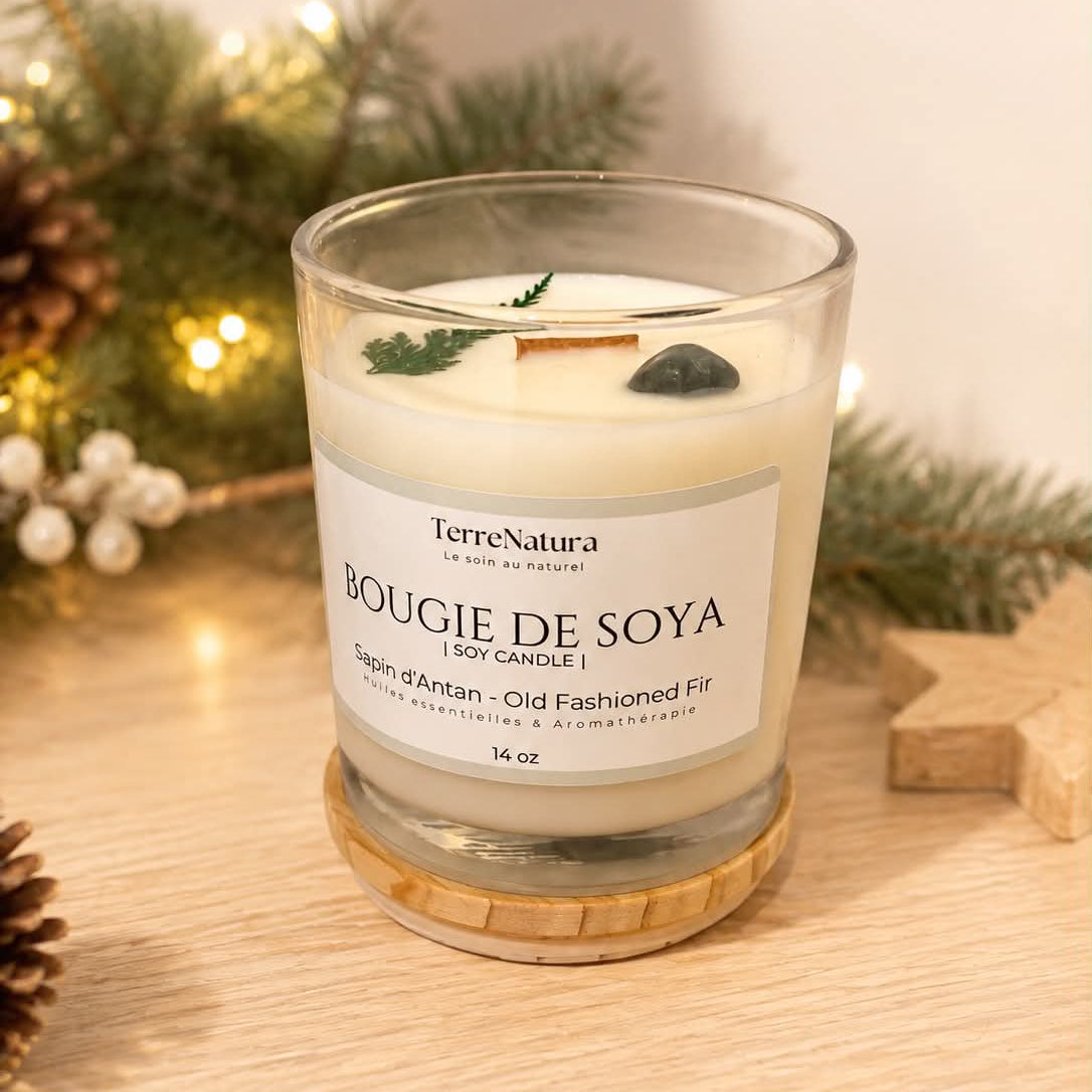Bougie 14 oz Sapin d'Antan - BOUGIE DE SAISON