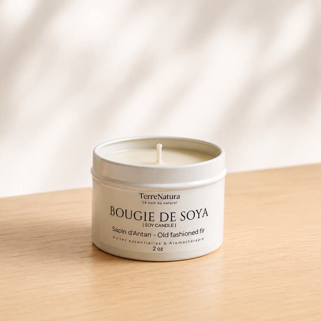 Mini bougie Sapin d'Antan 2 oz - BOUGIE DE SAISON