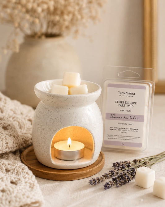 Cubes de cire naturels - Lot de 4 fragrances