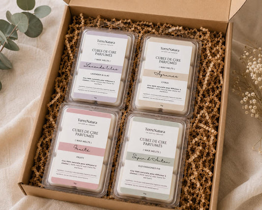 Cubes de cire naturels - Lot de 4 fragrances