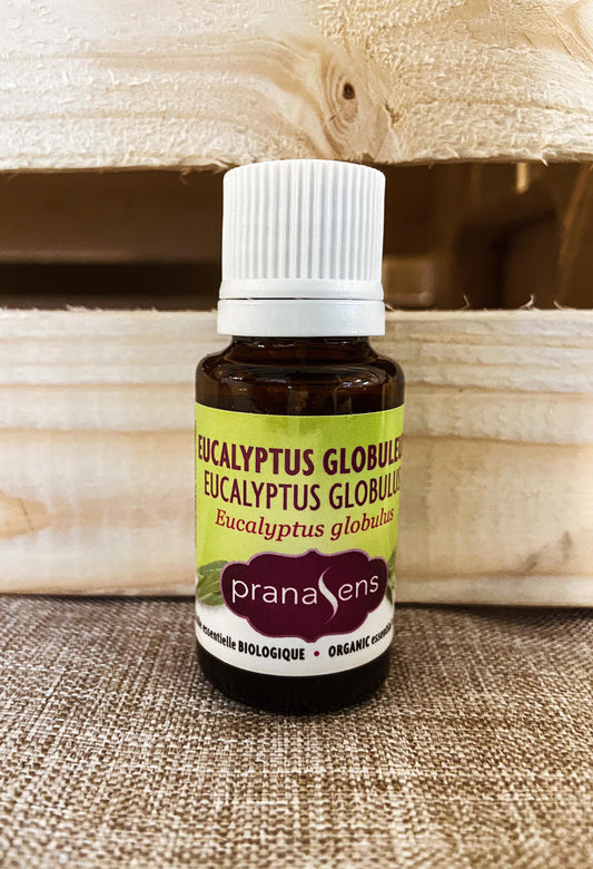 Eucalyptus Globulus Huile Essentielle biologique